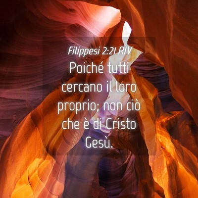 Picture 04 - Filippesi 2:21 RIV - Poiché tutti cercano il loro proprio; non ciò - Bible Verse Picture