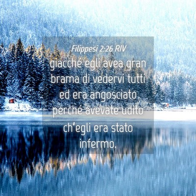 Picture 04 - Filippesi 2:26 RIV - giacché egli avea gran brama di vedervi tutti ed - Bible Verse Picture