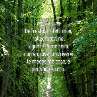 Picture 04 - Filippesi 3:1 RIV - Del resto, fratelli miei, rallegratevi nel - Bible Verse Picture