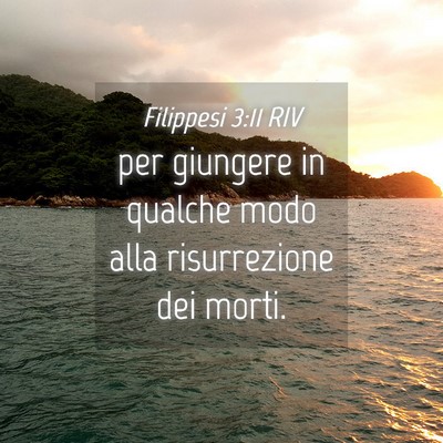 Picture 04 - Filippesi 3:11 RIV - per giungere in qualche modo alla risurrezione - Bible Verse Picture