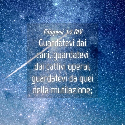Picture 04 - Filippesi 3:2 RIV - Guardatevi dai cani, guardatevi dai cattivi - Bible Verse Picture