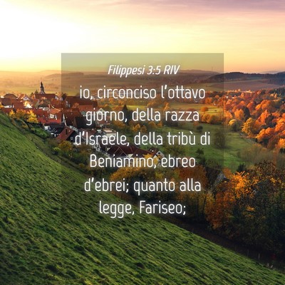 Picture 04 - Filippesi 3:5 RIV - io, circonciso l’ottavo giorno, della razza - Bible Verse Picture
