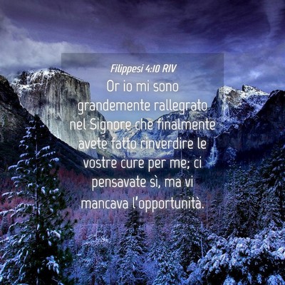 Picture 04 - Filippesi 4:10 RIV - Or io mi sono grandemente rallegrato nel Signore - Bible Verse Picture