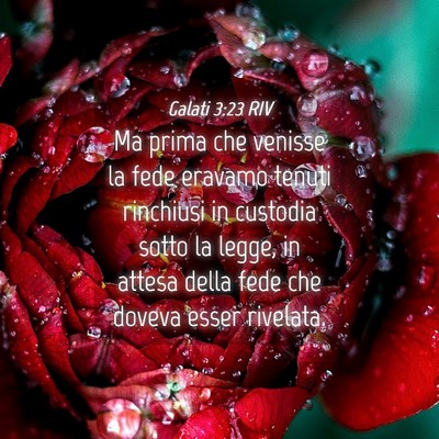 Picture 04 - Galati 3:23 RIV - Ma prima che venisse la fede eravamo tenuti - Bible Verse Picture