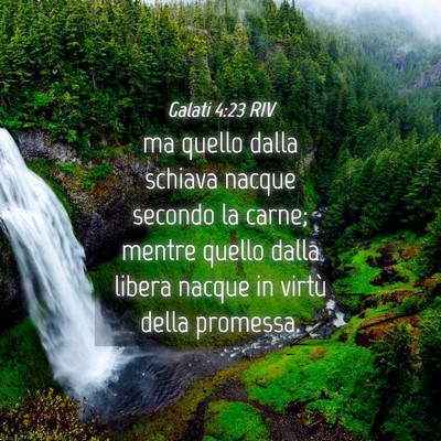 Picture 04 - Galati 4:23 RIV - ma quello dalla schiava nacque secondo la carne; - Bible Verse Picture