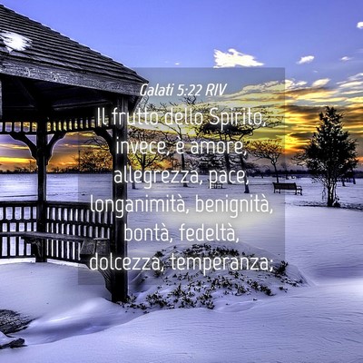 Picture 04 - Galati 5:22 RIV - Il frutto dello Spirito, invece, è amore, - Bible Verse Picture