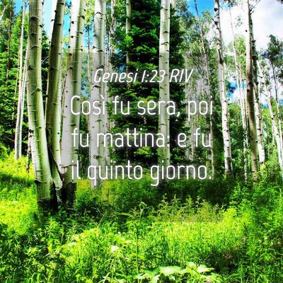 Picture 04 - Genesi 1:23 RIV - Così fu sera, poi fu mattina: e fu il quinto - Bible Verse Picture