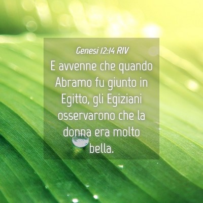 Picture 04 - Genesi 12:14 RIV - E avvenne che quando Abramo fu giunto in Egitto, - Bible Verse Picture