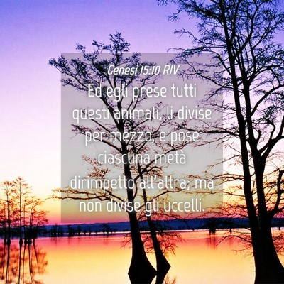 Picture 04 - Genesi 15:10 RIV - Ed egli prese tutti questi animali, li divise per - Bible Verse Picture