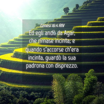 Picture 04 - Genesi 16:4 RIV - Ed egli andò da Agar, che rimase incinta; e - Bible Verse Picture