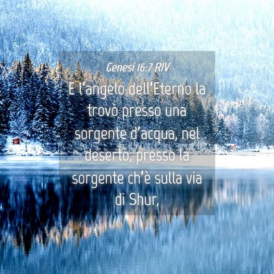 Picture 04 - Genesi 16:7 RIV - E l’angelo dell’Eterno la trovò presso una - Bible Verse Picture