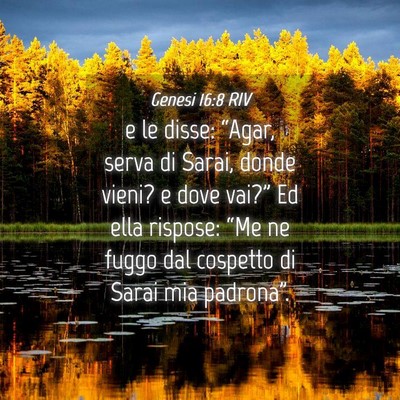 Picture 04 - Genesi 16:8 RIV - e le disse: “Agar, serva di Sarai, donde vieni? - Bible Verse Picture