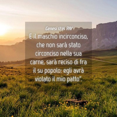 Picture 04 - Genesi 17:14 RIV - E il maschio incirconciso, che non sarà stato - Bible Verse Picture