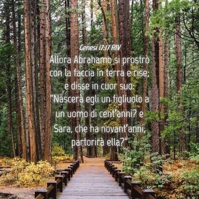 Picture 04 - Genesi 17:17 RIV - Allora Abrahamo si prostrò con la faccia in - Bible Verse Picture
