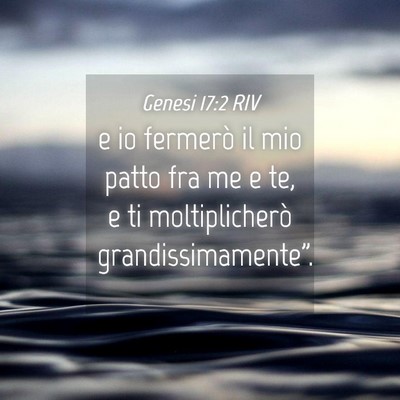Picture 04 - Genesi 17:2 RIV - e io fermerò il mio patto fra me e te, e ti - Bible Verse Picture