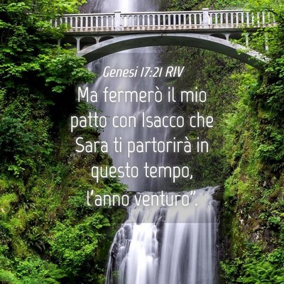 Picture 04 - Genesi 17:21 RIV - Ma fermerò il mio patto con Isacco che Sara ti - Bible Verse Picture