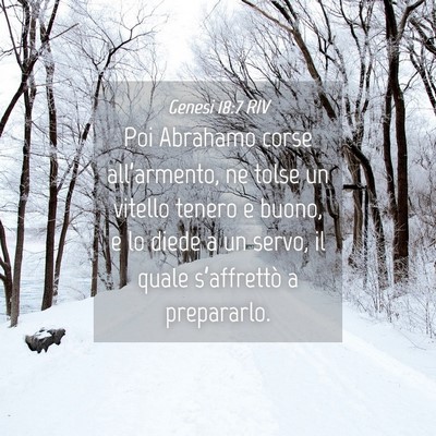 Picture 04 - Genesi 18:7 RIV - Poi Abrahamo corse all’armento, ne tolse un - Bible Verse Picture