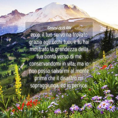 Picture 04 - Genesi 19:19 RIV - ecco, il tuo servo ha trovato grazia agli occhi - Bible Verse Picture