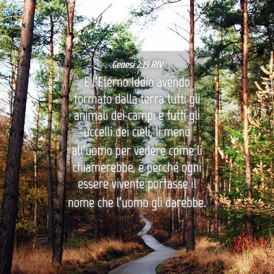 Picture 04 - Genesi 2:19 RIV - E l’Eterno Iddio avendo formato dalla terra - Bible Verse Picture