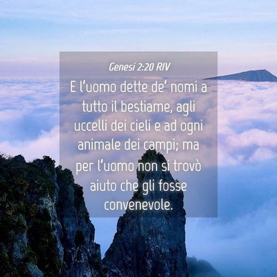 Picture 04 - Genesi 2:20 RIV - E l’uomo dette de’ nomi a tutto il bestiame, - Bible Verse Picture