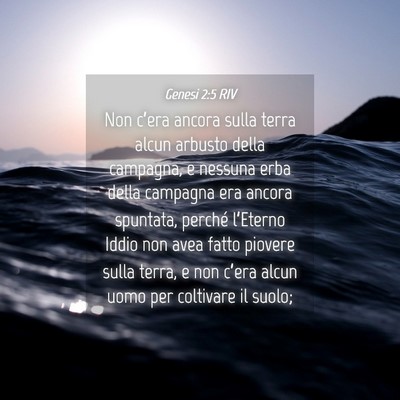 Picture 04 - Genesi 2:5 RIV - Non c’era ancora sulla terra alcun arbusto - Bible Verse Picture