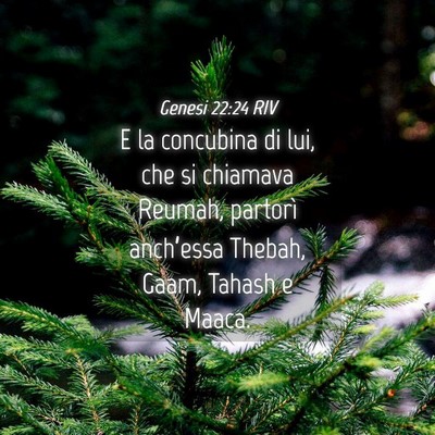Picture 04 - Genesi 22:24 RIV - E la concubina di lui, che si chiamava Reumah, - Bible Verse Picture