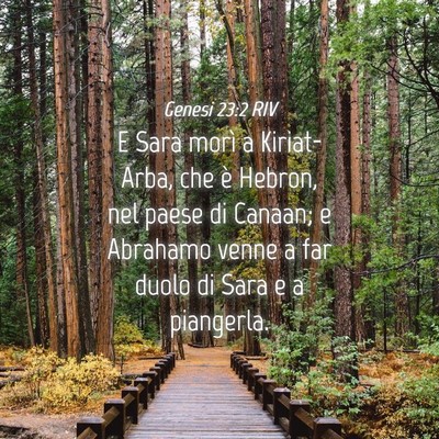 Picture 04 - Genesi 23:2 RIV - E Sara morì a Kiriat-Arba, che è Hebron, nel - Bible Verse Picture