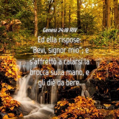 Picture 04 - Genesi 24:18 RIV - Ed ella rispose: “Bevi, signor mio”; e - Bible Verse Picture