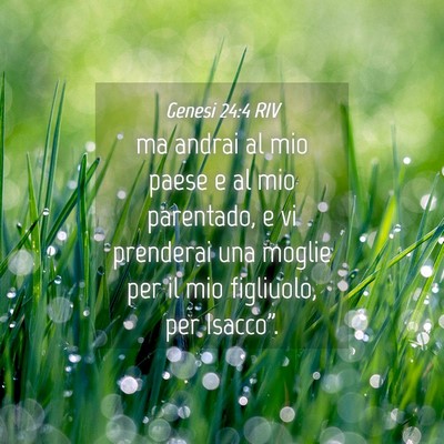 Picture 04 - Genesi 24:4 RIV - ma andrai al mio paese e al mio parentado, e vi - Bible Verse Picture