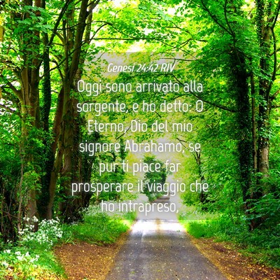 Picture 04 - Genesi 24:42 RIV - Oggi sono arrivato alla sorgente, e ho detto: O - Bible Verse Picture