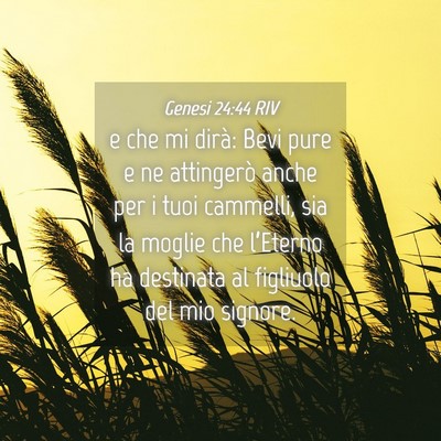 Picture 04 - Genesi 24:44 RIV - e che mi dirà: Bevi pure e ne attingerò anche - Bible Verse Picture
