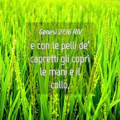 Picture 04 - Genesi 27:16 RIV - e con le pelli de’ capretti gli coprì le mani - Bible Verse Picture