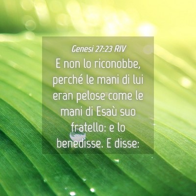 Picture 04 - Genesi 27:23 RIV - E non lo riconobbe, perché le mani di lui eran - Bible Verse Picture