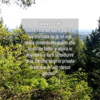 Picture 04 - Genesi 27:45 RIV - finché l’ira del tuo fratello si sia stornata - Bible Verse Picture