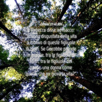Picture 04 - Genesi 27:46 RIV - E Rebecca disse ad Isacco: “Io sono disgustata - Bible Verse Picture