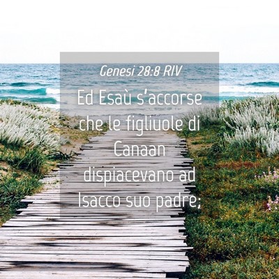 Picture 04 - Genesi 28:8 RIV - Ed Esaù s’accorse che le figliuole di Canaan - Bible Verse Picture