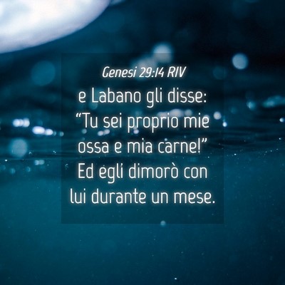 Picture 04 - Genesi 29:14 RIV - e Labano gli disse: “Tu sei proprio mie ossa e - Bible Verse Picture