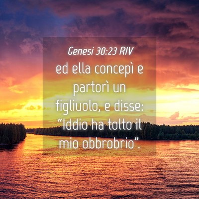 Picture 04 - Genesi 30:23 RIV - ed ella concepì e partorì un figliuolo, e - Bible Verse Picture