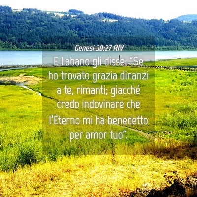 Picture 04 - Genesi 30:27 RIV - E Labano gli disse: “Se ho trovato grazia - Bible Verse Picture