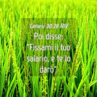 Picture 04 - Genesi 30:28 RIV - Poi disse: “Fissami il tuo salario, e te lo - Bible Verse Picture