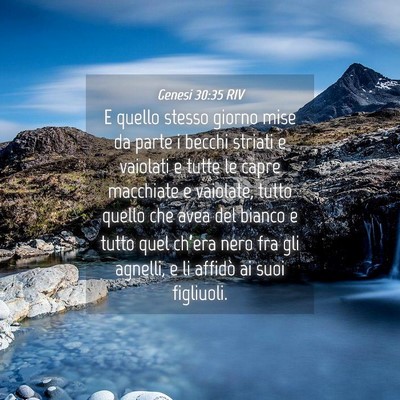 Picture 04 - Genesi 30:35 RIV - E quello stesso giorno mise da parte i becchi - Bible Verse Picture