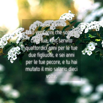 Picture 04 - Genesi 31:41 RIV - Ecco vent’anni che sono in casa tua; t’ho - Bible Verse Picture