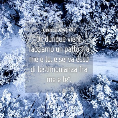 Picture 04 - Genesi 31:44 RIV - Or dunque vieni, facciamo un patto fra me e te, e - Bible Verse Picture