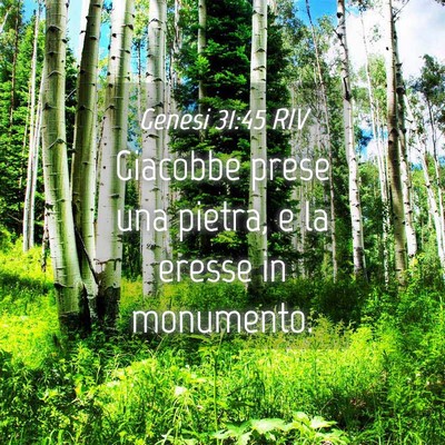 Picture 04 - Genesi 31:45 RIV - Giacobbe prese una pietra, e la eresse in - Bible Verse Picture