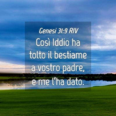 Picture 04 - Genesi 31:9 RIV - Così Iddio ha tolto il bestiame a vostro padre, - Bible Verse Picture