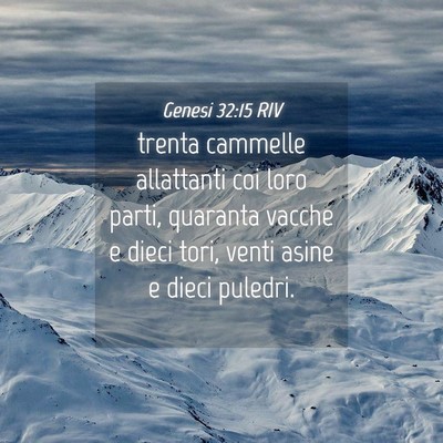 Picture 04 - Genesi 32:15 RIV - trenta cammelle allattanti coi loro parti, - Bible Verse Picture