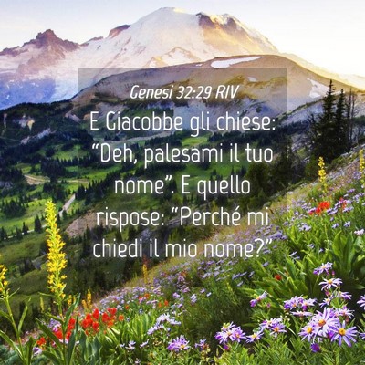 Picture 04 - Genesi 32:29 RIV - E Giacobbe gli chiese: “Deh, palesami il tuo - Bible Verse Picture