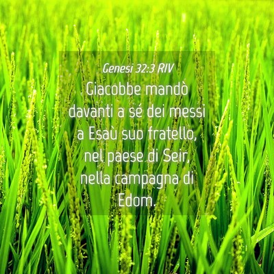 Picture 04 - Genesi 32:3 RIV - Giacobbe mandò davanti a sé dei messi a Esaù - Bible Verse Picture