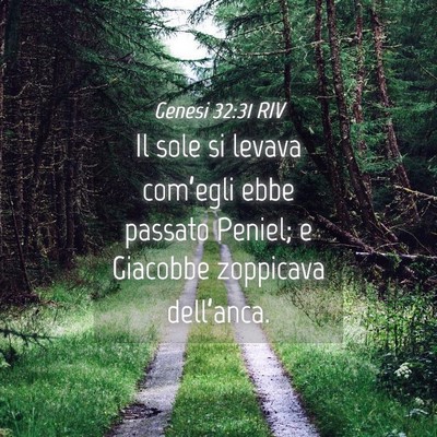 Picture 04 - Genesi 32:31 RIV - Il sole si levava com’egli ebbe passato Peniel; - Bible Verse Picture