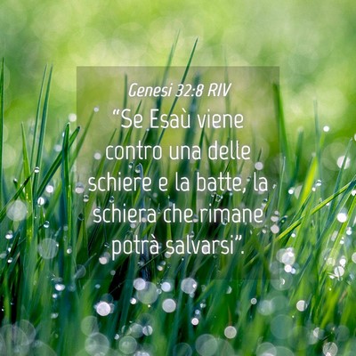 Picture 04 - Genesi 32:8 RIV - “Se Esaù viene contro una delle schiere e la - Bible Verse Picture